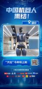 中国机械人集结！