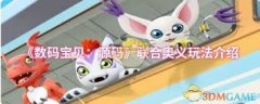 数码宝物：源码结合奥义怎样玩